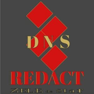 cropped-cropped-logo-officiel-DNSREDACT.jpg