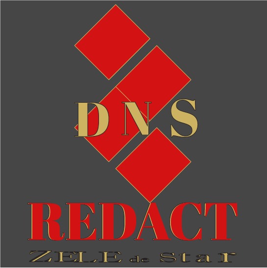 Logo DNS Redact