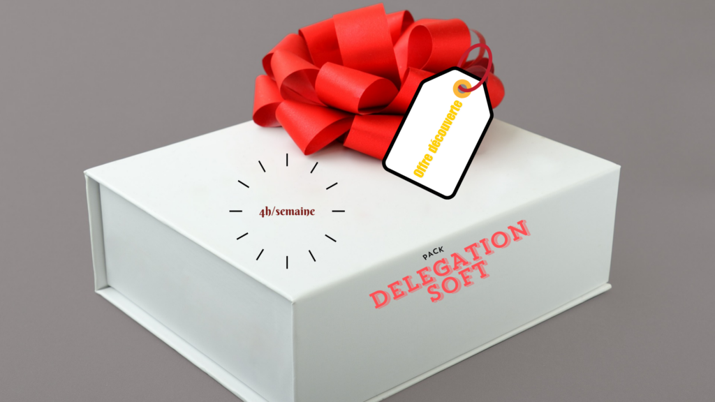 offre découverte DnsRedact pack délégation Soft