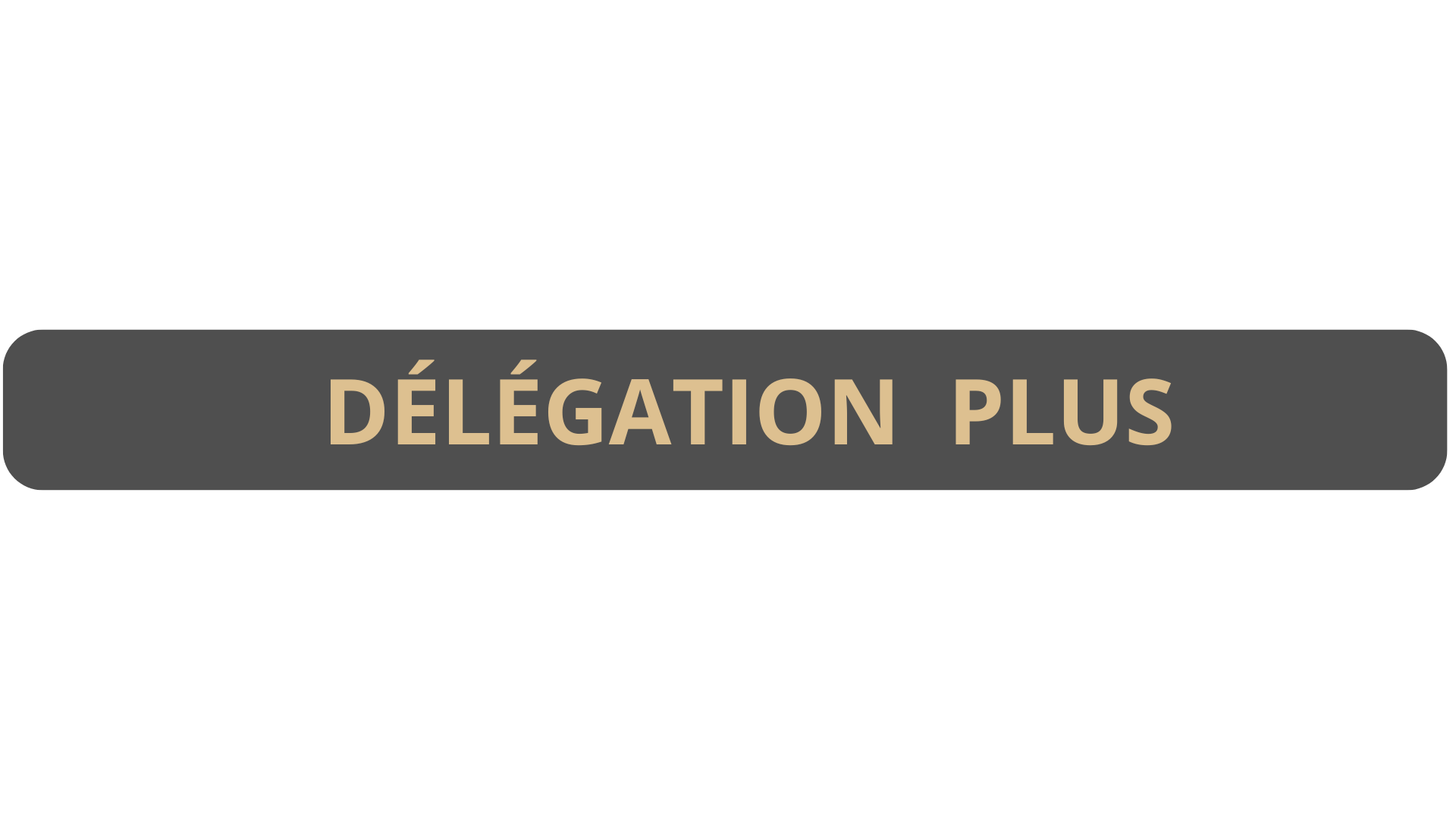 Délégation Plus